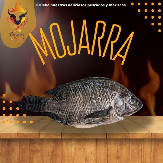 MOJARRA / Precio: $109.00